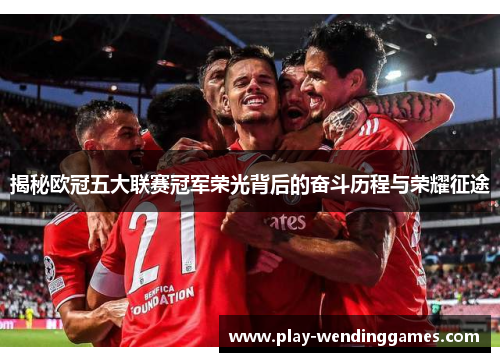揭秘欧冠五大联赛冠军荣光背后的奋斗历程与荣耀征途