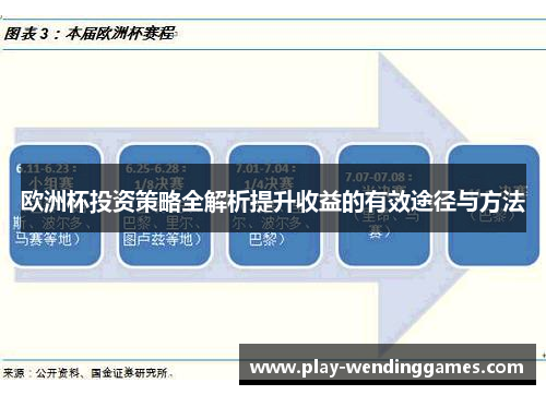 欧洲杯投资策略全解析提升收益的有效途径与方法