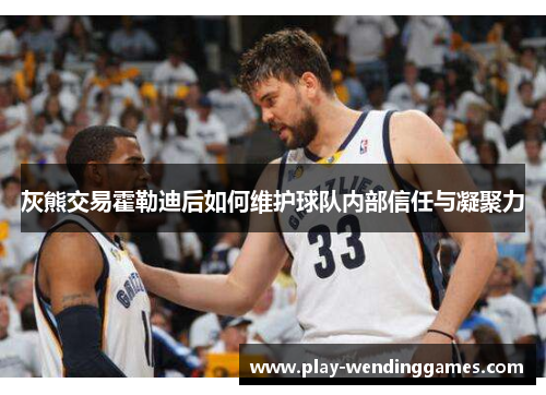 灰熊交易霍勒迪后如何维护球队内部信任与凝聚力