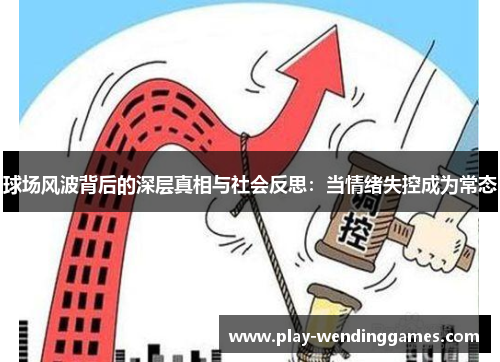 球场风波背后的深层真相与社会反思：当情绪失控成为常态