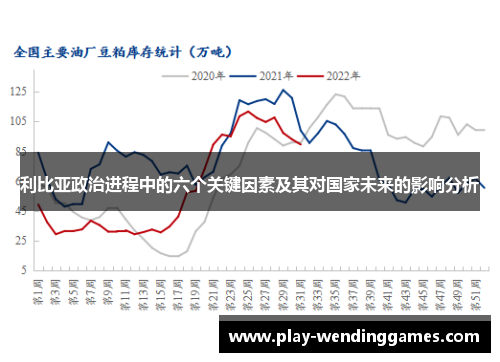 利比亚政治进程中的六个关键因素及其对国家未来的影响分析
