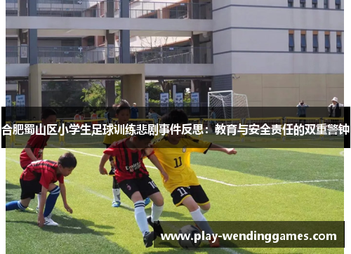 合肥蜀山区小学生足球训练悲剧事件反思：教育与安全责任的双重警钟