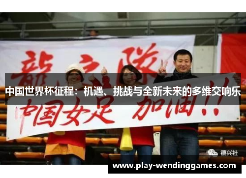 中国世界杯征程：机遇、挑战与全新未来的多维交响乐