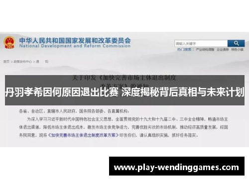 丹羽孝希因何原因退出比赛 深度揭秘背后真相与未来计划