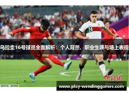 乌拉圭16号球员全面解析：个人背景、职业生涯与场上表现