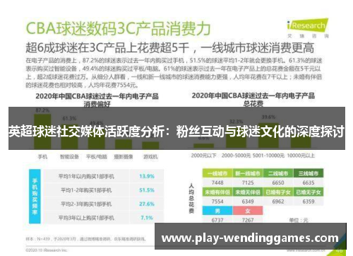 英超球迷社交媒体活跃度分析：粉丝互动与球迷文化的深度探讨
