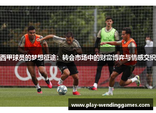 西甲球员的梦想征途:转会市场中的财富博弈与情感交织 西甲球员的梦想征途:转会市场中的财富博弈与情感交织