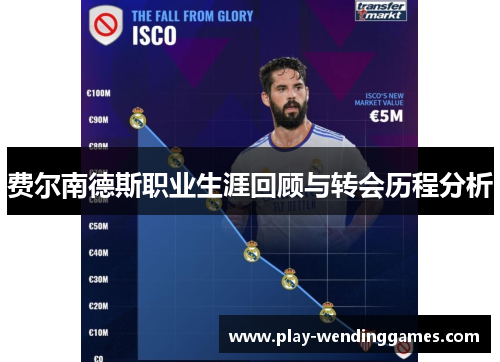 费尔南德斯职业生涯回顾与转会历程分析