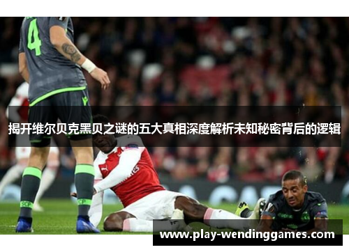 揭开维尔贝克黑贝之谜的五大真相深度解析未知秘密背后的逻辑