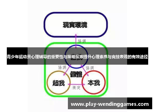 青少年运动员心理辅导的重要性与策略探索提升心理素质与竞技表现的有效途径
