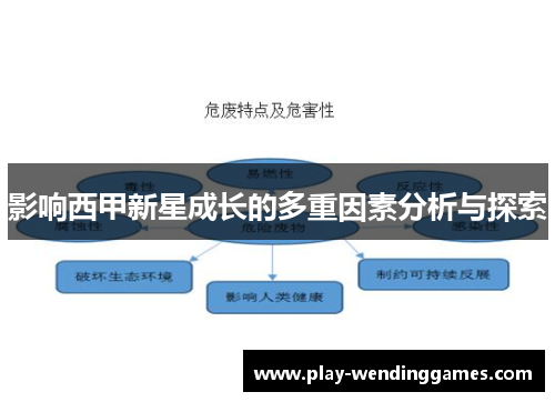 影响西甲新星成长的多重因素分析与探索