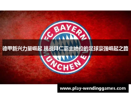 德甲新兴力量崛起 挑战拜仁霸主地位的足球豪强崛起之路 德甲新兴力量崛起 挑战拜仁霸主地位的足球豪强崛起之路