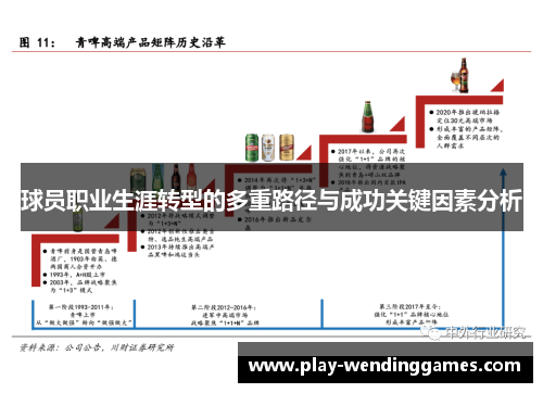 球员职业生涯转型的多重路径与成功关键因素分析